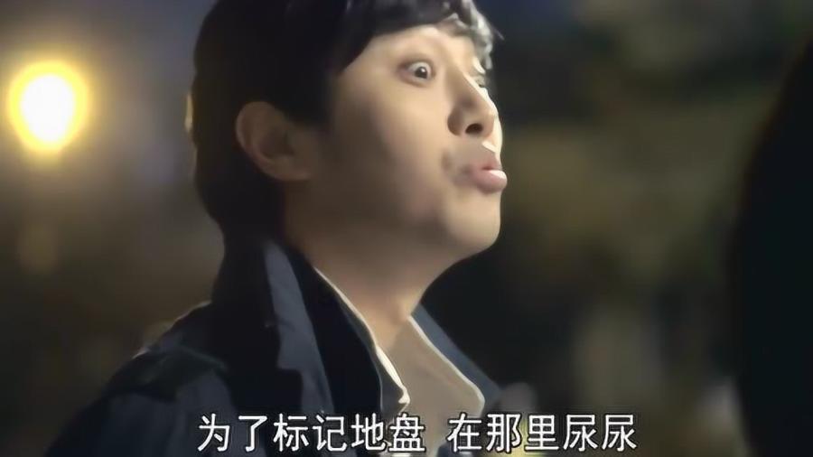 无忧国际wy6999